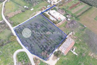 Αγροτεμάχια 7.000 τ.μ. για πώληση, Αργολίδα, Ναύπλιο-thumb-9