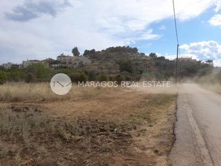 Αγροτεμάχια 7.000 τ.μ. για πώληση, Αργολίδα, Ναύπλιο-thumb-15