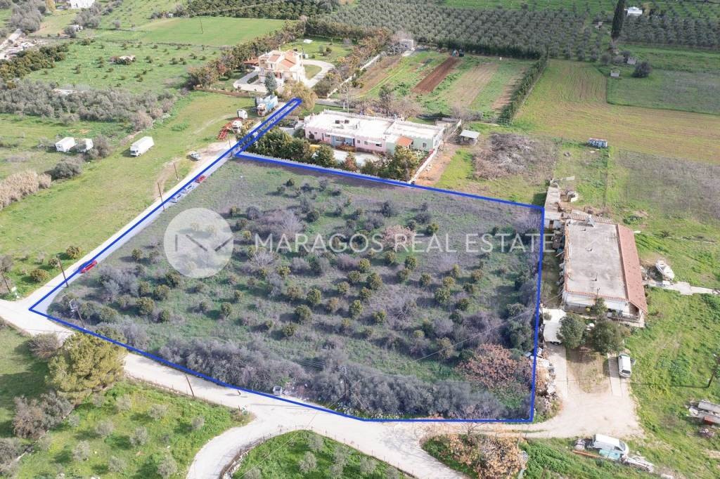 Αγροτεμάχια 7.000 τ.μ. για πώληση, Αργολίδα, Ναύπλιο