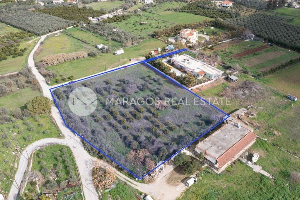 Αγροτεμάχια 7.000 τ.μ. πρός πώληση, Αργολίδα, Ναύπλιο