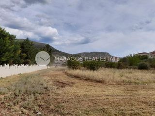 Αγροτεμάχια 7.000 τ.μ. για πώληση, Αργολίδα, Ναύπλιο-thumb-17