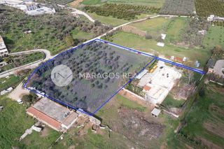 Αγροτεμάχια 7.000 τ.μ. για πώληση, Αργολίδα, Ναύπλιο-thumb-3