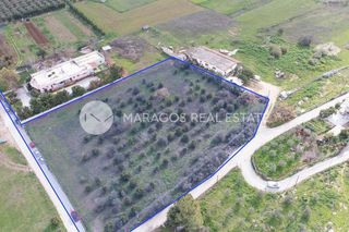 Αγροτεμάχια 7.000 τ.μ. για πώληση, Αργολίδα, Ναύπλιο-thumb-7