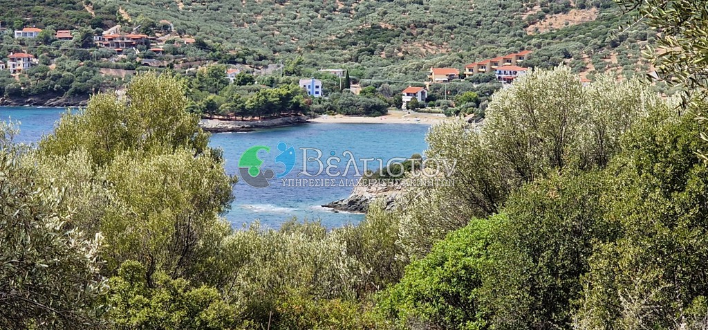 Ξενοδοχείο 1.150 τ.μ. πρός πώληση, Χαλκιδική, Παναγιά