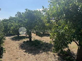Αγροτεμάχια 32.000 τ.μ. προς πώληση, Ίναχος Άργους-thumb-5