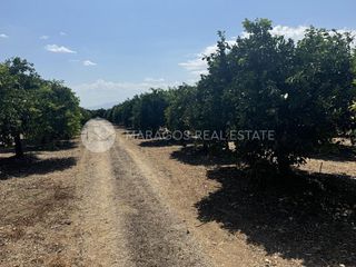 Αγροτεμάχια 32.000 τ.μ. προς πώληση, Ίναχος Άργους-thumb-3