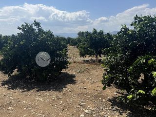 Αγροτεμάχια 32.000 τ.μ. προς πώληση, Ίναχος Άργους-thumb-4