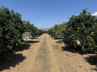 Αγροτεμάχια 32.000 τ.μ. προς πώληση, Ίναχος Άργους-thumb-1