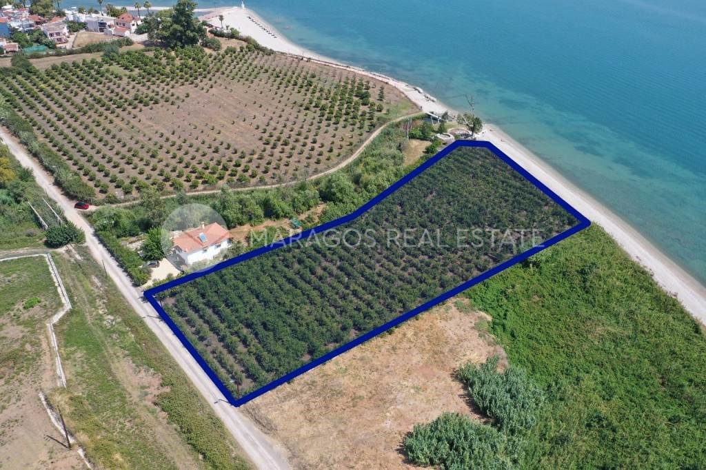 Αγροτεμάχια 7.000 τ.μ. προς πώληση, Μύλοι Λέρνας