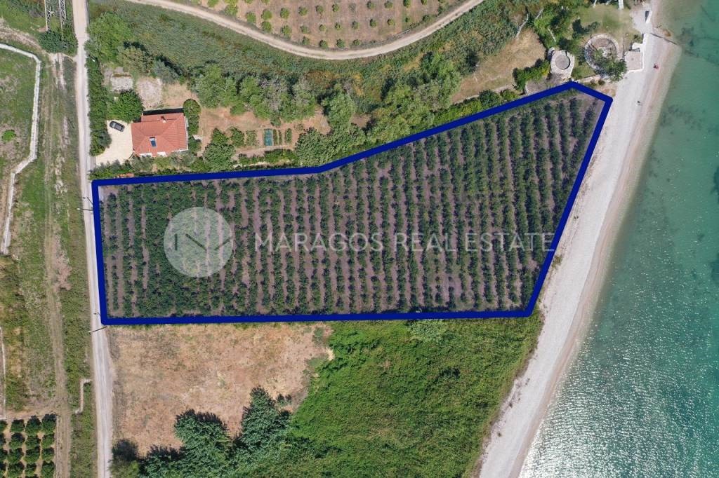 Αγροτεμάχια 7.000 τ.μ. προς πώληση, Μύλοι Λέρνας