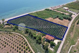 Αγροτεμάχια 7.000 τ.μ. προς πώληση, Μύλοι Λέρνας-thumb-5