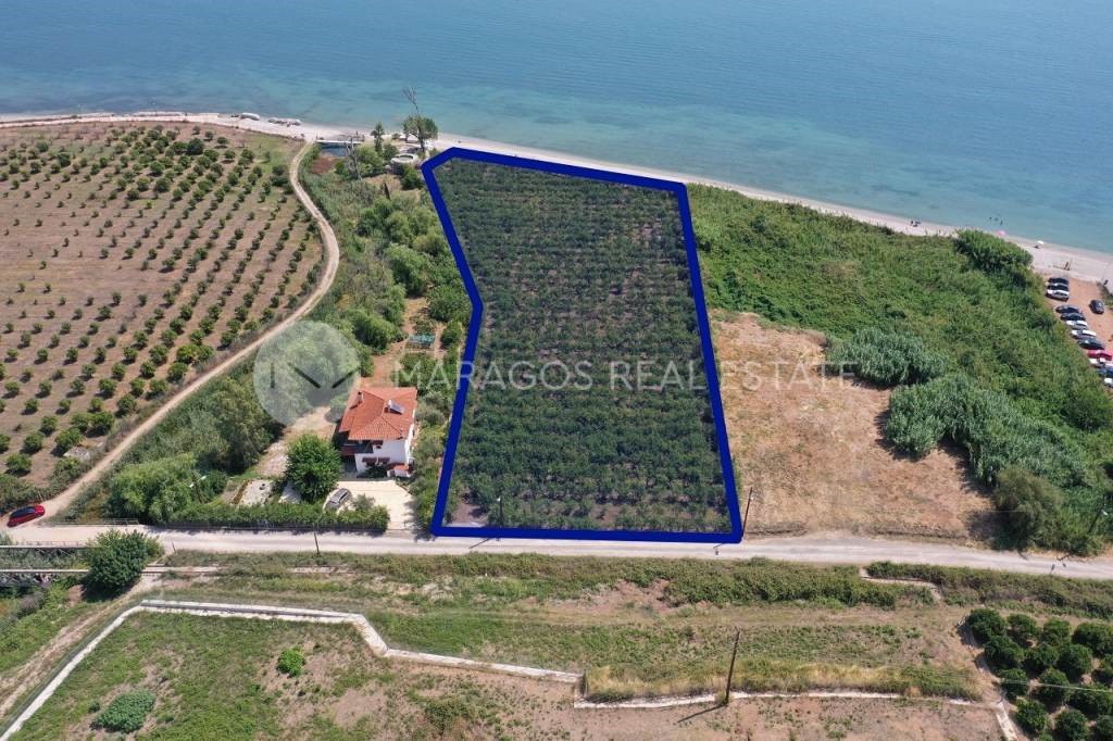 Αγροτεμάχια 7.000 τ.μ. προς πώληση, Μύλοι Λέρνας
