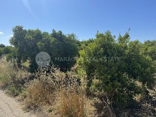 Αγροτεμάχια 15.000 τ.μ. προς πώληση, Αργολίδα, Νέα Κίος-thumb-13
