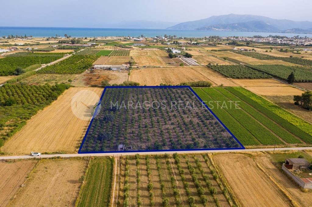 Αγροτεμάχια 15.000 τ.μ. προς πώληση, Αργολίδα, Νέα Κίος