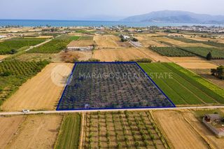 Αγροτεμάχια 15.000 τ.μ. προς πώληση, Αργολίδα, Νέα Κίος-thumb-2