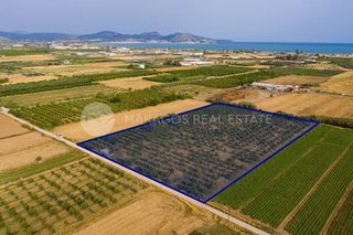 Αγροτεμάχια 15.000 τ.μ. προς πώληση, Αργολίδα, Νέα Κίος-thumb-3