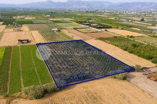 Αγροτεμάχια 15.000 τ.μ. προς πώληση, Αργολίδα, Νέα Κίος-thumb-7