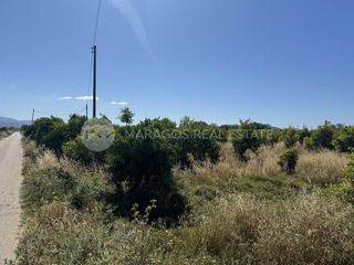 Αγροτεμάχια 15.000 τ.μ. προς πώληση, Αργολίδα, Νέα Κίος-thumb-23