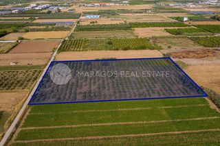 Αγροτεμάχια 15.000 τ.μ. προς πώληση, Αργολίδα, Νέα Κίος-thumb-5