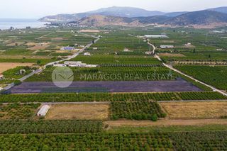 Οικόπεδο 20.000 τ.μ. για πώληση, Αργολίδα, Άργος-thumb-5