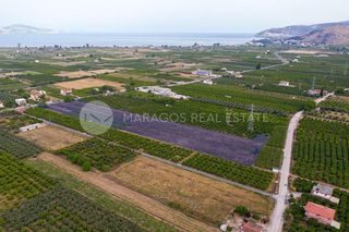 Οικόπεδο 20.000 τ.μ. για πώληση, Αργολίδα, Άργος-thumb-6