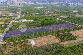 Οικόπεδο 20.000 τ.μ. για πώληση, Αργολίδα, Άργος-thumb-4