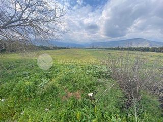 Οικόπεδο 20.000 τ.μ. για πώληση, Αργολίδα, Άργος-thumb-10