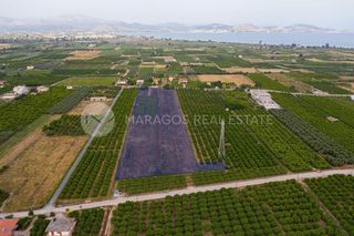 Οικόπεδο 20.000 τ.μ. για πώληση, Αργολίδα, Άργος-thumb-7