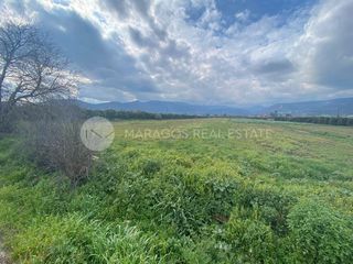 Οικόπεδο 20.000 τ.μ. για πώληση, Αργολίδα, Άργος-thumb-13