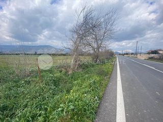 Οικόπεδο 20.000 τ.μ. για πώληση, Αργολίδα, Άργος-thumb-9