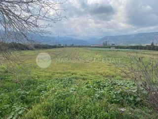 Οικόπεδο 20.000 τ.μ. για πώληση, Αργολίδα, Άργος-thumb-11