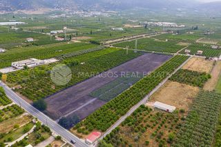 Οικόπεδο 20.000 τ.μ. για πώληση, Αργολίδα, Άργος-thumb-3