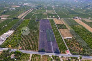Οικόπεδο 20.000 τ.μ. για πώληση, Αργολίδα, Άργος-thumb-2