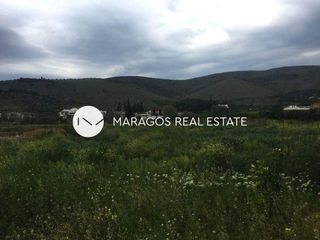 Οικόπεδο 4.500 τ.μ. για πώληση, Αργολίδα, Άργος-thumb-6