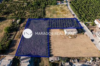 Οικόπεδο 4.500 τ.μ. για πώληση, Αργολίδα, Άργος-thumb-3