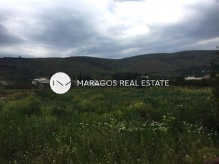 Οικόπεδο 4.500 τ.μ. για πώληση, Αργολίδα, Άργος-thumb-5