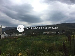 Οικόπεδο 4.500 τ.μ. για πώληση, Αργολίδα, Άργος-thumb-8