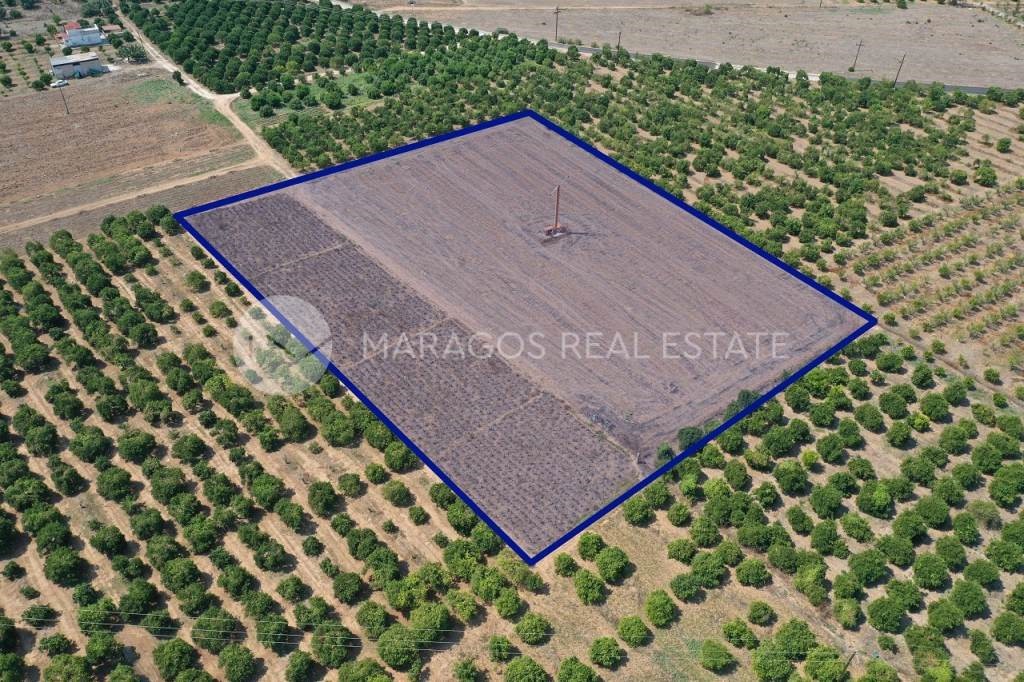 Αγροτεμάχια 10.000 τ.μ. προς πώληση, Δαλαμανάρα