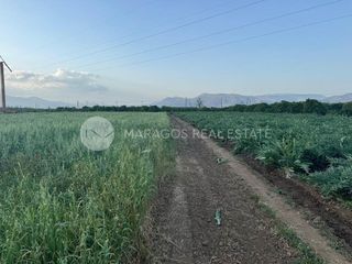 Αγροτεμάχια 10.000 τ.μ. προς πώληση, Δαλαμανάρα-thumb-6