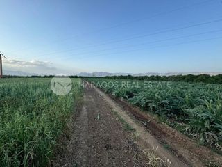 Αγροτεμάχια 10.000 τ.μ. προς πώληση, Δαλαμανάρα-thumb-7
