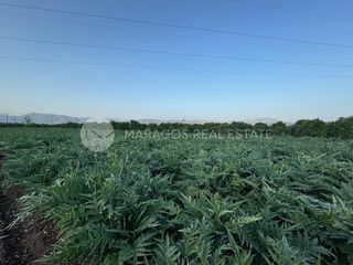 Αγροτεμάχια 10.000 τ.μ. προς πώληση, Δαλαμανάρα-thumb-11