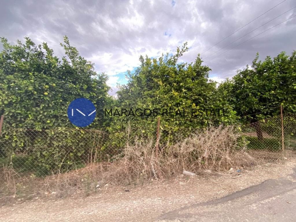 Αγροτεμάχια 9.200 τ.μ. για πώληση, Αργολίδα, Μιδέα