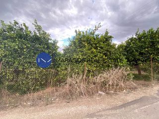 Αγροτεμάχια 9.200 τ.μ. για πώληση