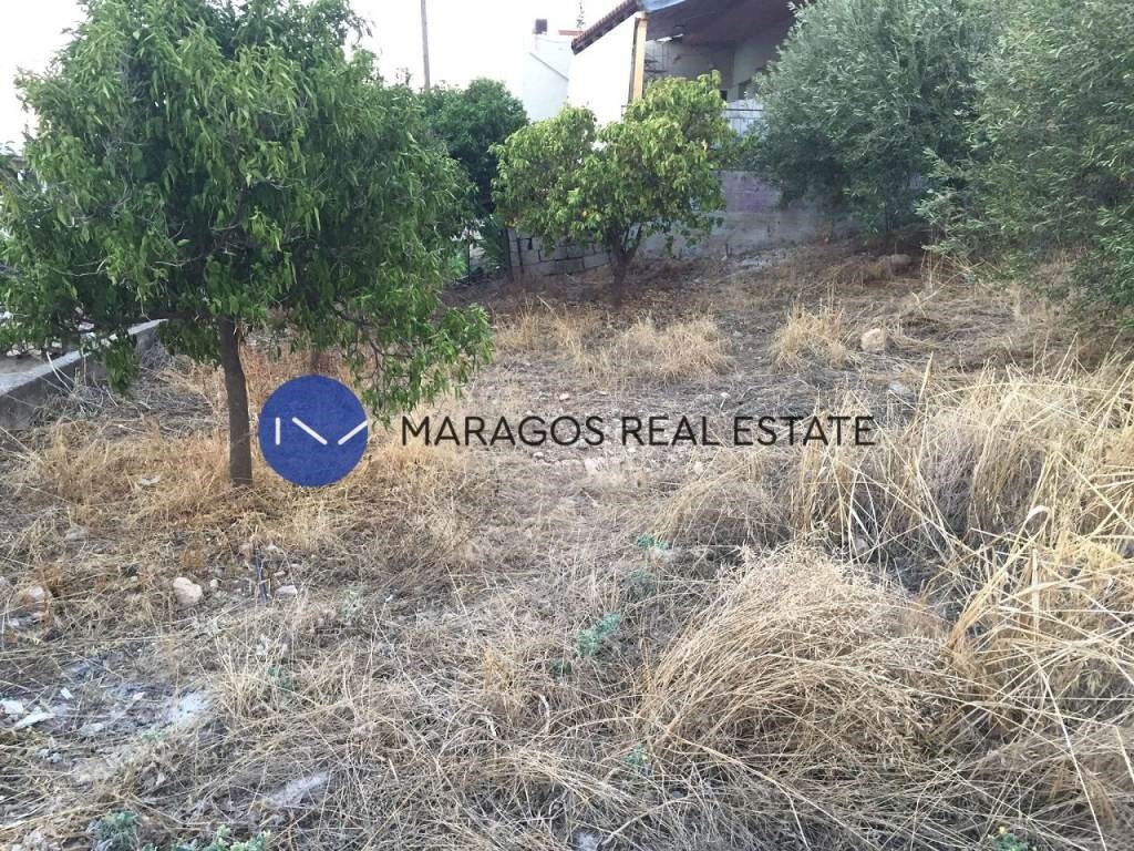 Οικόπεδο 1.000 τ.μ. για πώληση, Αργολίδα, Άργος