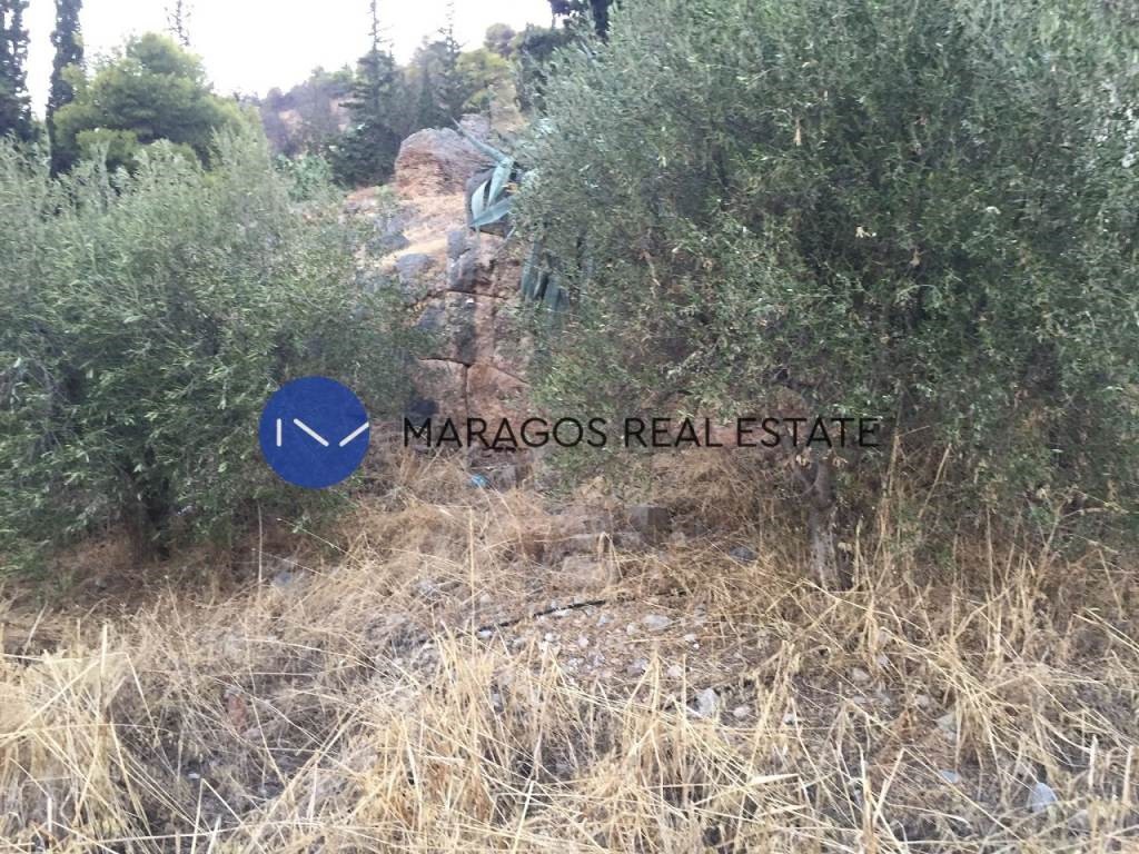 Οικόπεδο 1.000 τ.μ. προς πώληση, Κέντρο Άργους