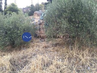 Οικόπεδο 1.000 τ.μ. για πώληση, Αργολίδα, Άργος-thumb-4