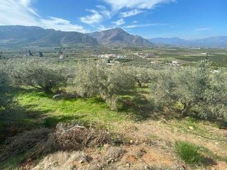 Αγροτεμάχια 15.000 τ.μ. προς πώληση, Άκοβα-thumb-13