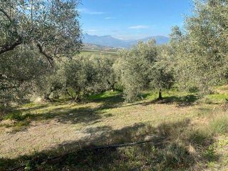 Αγροτεμάχια 15.000 τ.μ. προς πώληση, Άκοβα-thumb-17