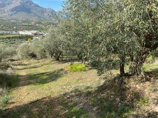 Αγροτεμάχια 15.000 τ.μ. προς πώληση, Άκοβα-thumb-2