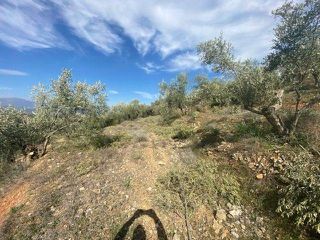 Αγροτεμάχια 15.000 τ.μ. προς πώληση, Άκοβα-thumb-15